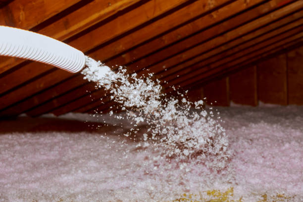 Best Fiberglass Insulation  in Sauk Rapids, MN