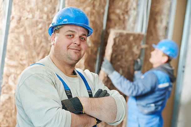 Best Insulation Contractors for Homes  in Sauk Rapids, MN